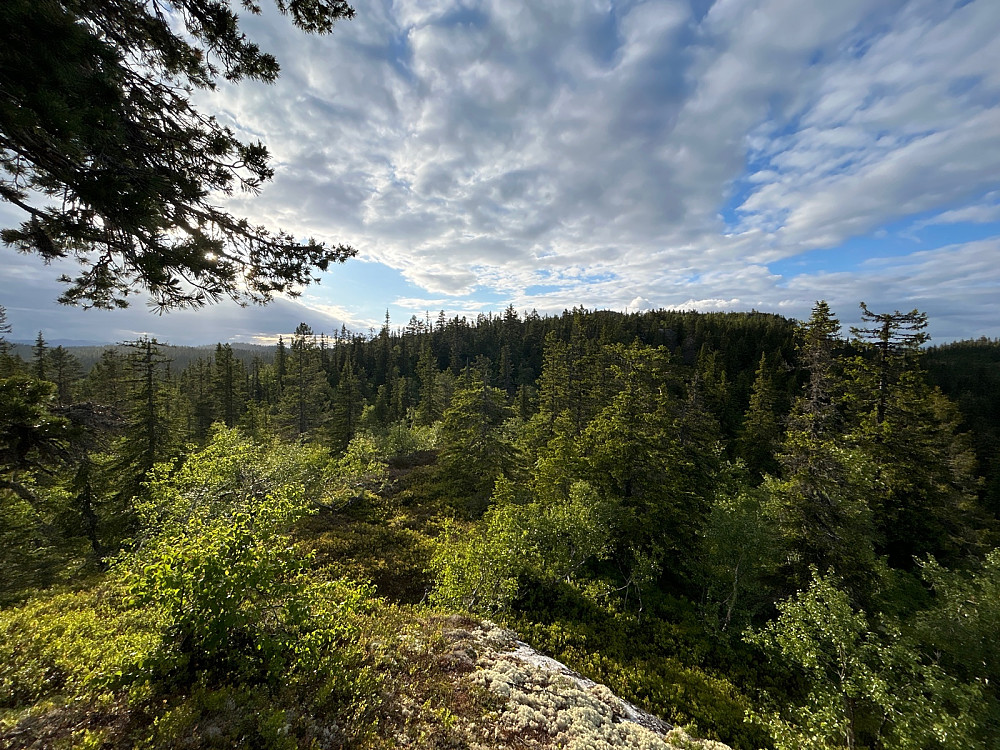 Ryggen bortover mot Den Runde Kollen.