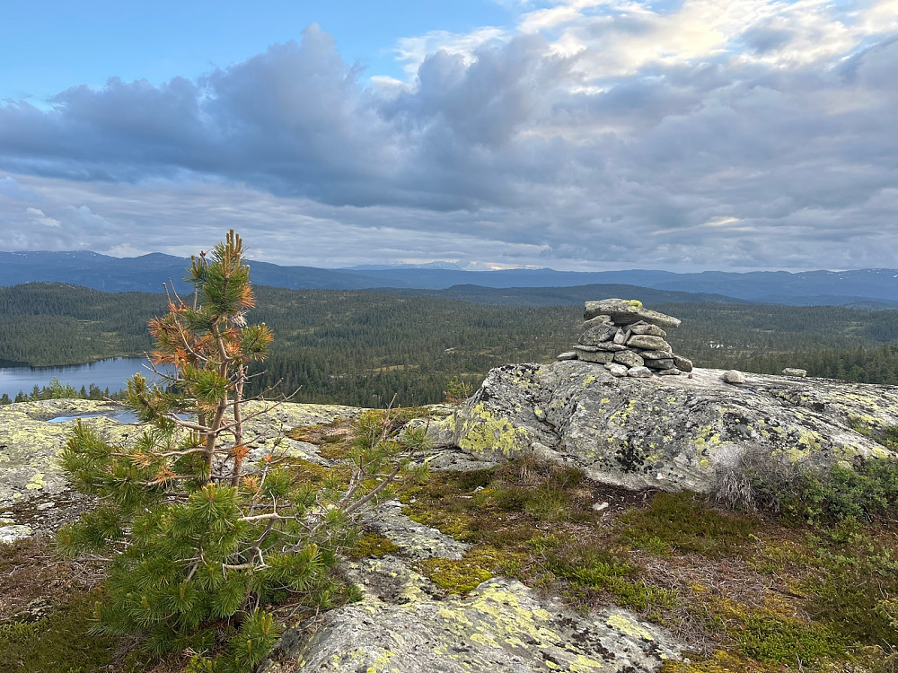 Toppen av Den Runde Kollen.