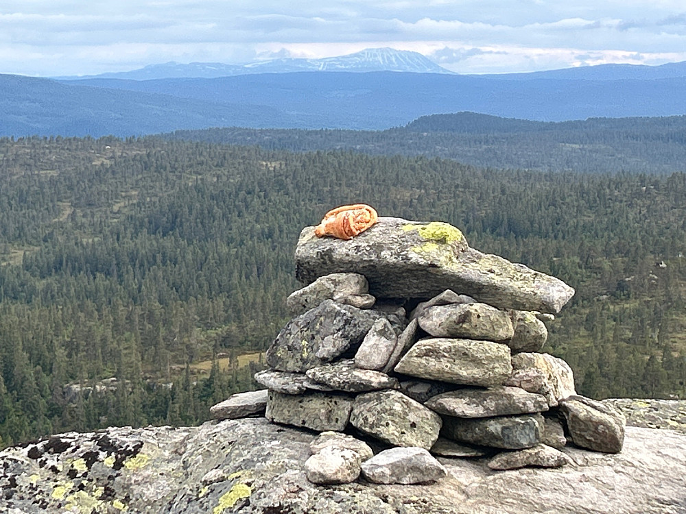 Bollen på Den Runde Kollen