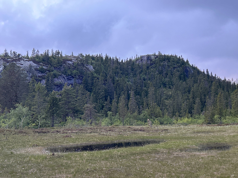 På retur fra Den Runde Kollen