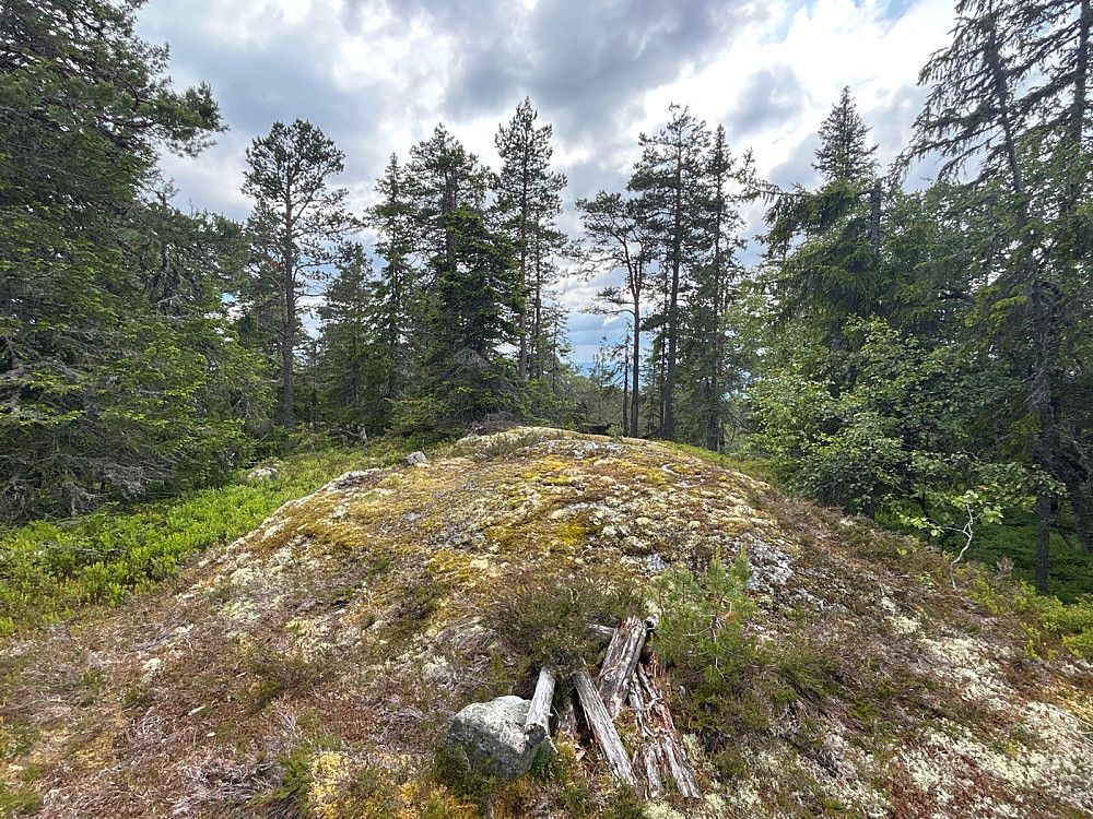 Toppunktet på Skjukuåsen.