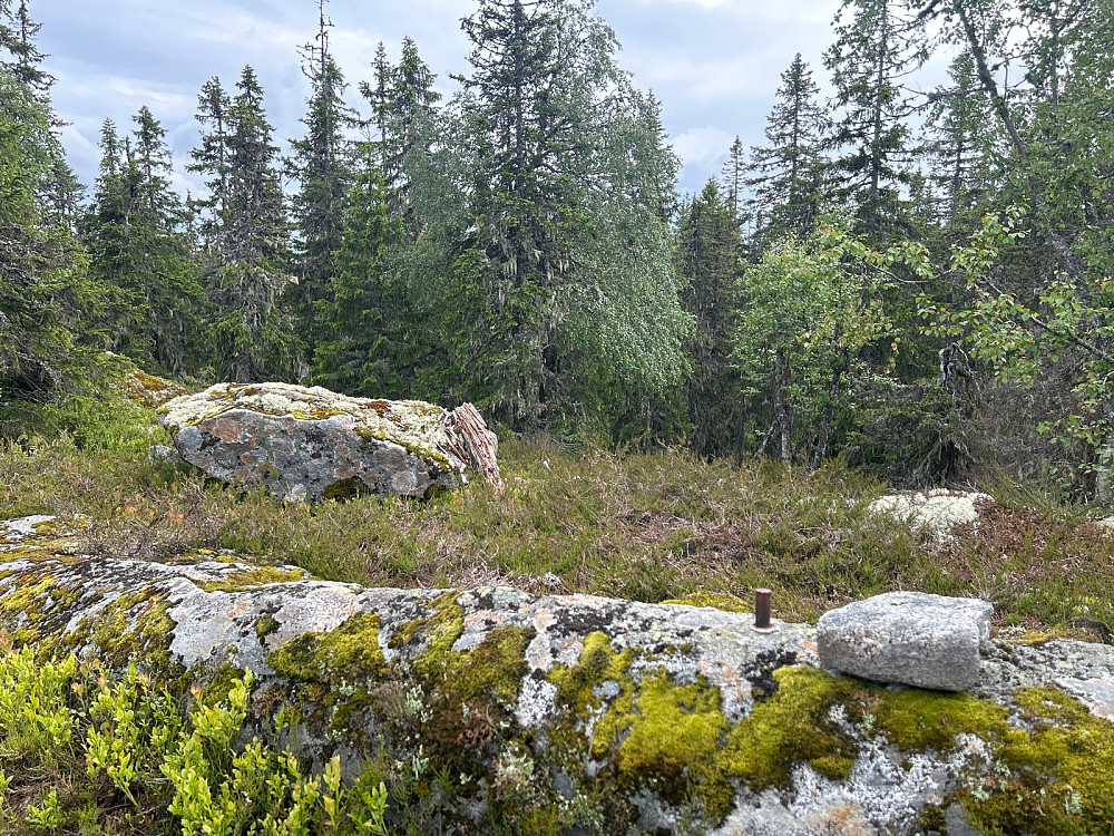 Toppen av Grasdalskollen.
