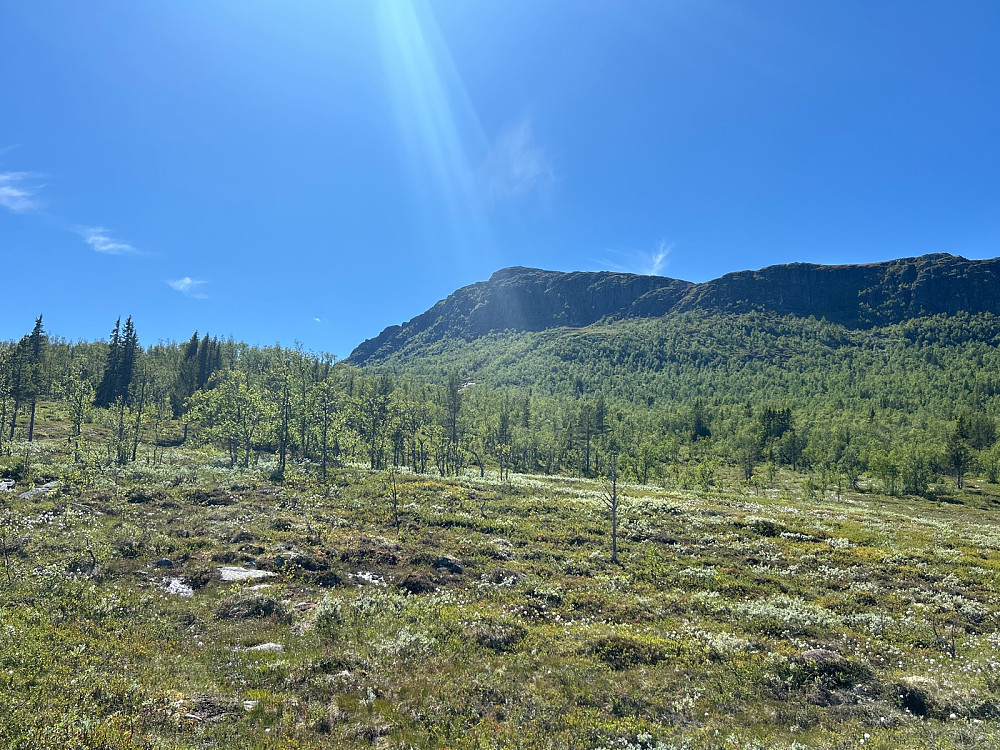 På vei mot Nutenutan som er en fin fjellrygg.