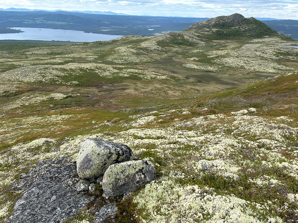 Sveinsnuten til høyre i bildet så ut til å være en fin topp, men jeg manglet motivasjon til å gå over myrene bort dit, og skrådde heller til høyre igjen.