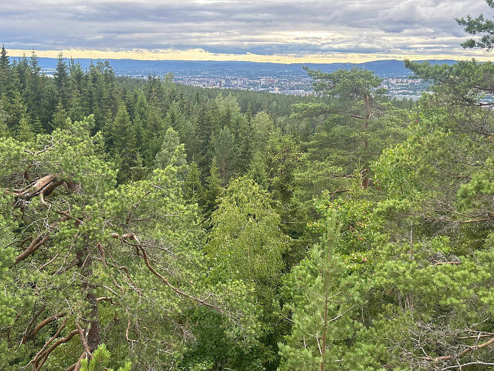 Utsikt mot Oslo fra utsiktspunktet på Tørrgranåsen.