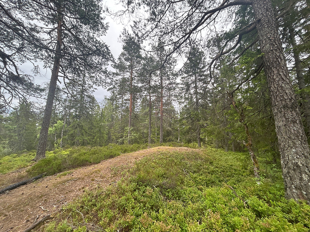 Puttåsen Nord.