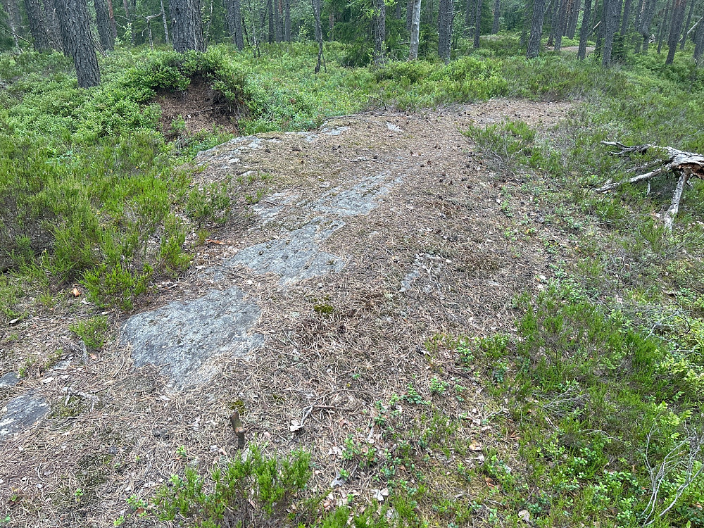 Jeg tror toppunktet på Puttåsen er her et sted.