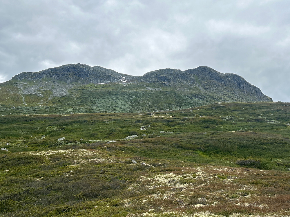 «Bjordalsnutan nordøst». Vi gikk ned skaret midt i bildet.