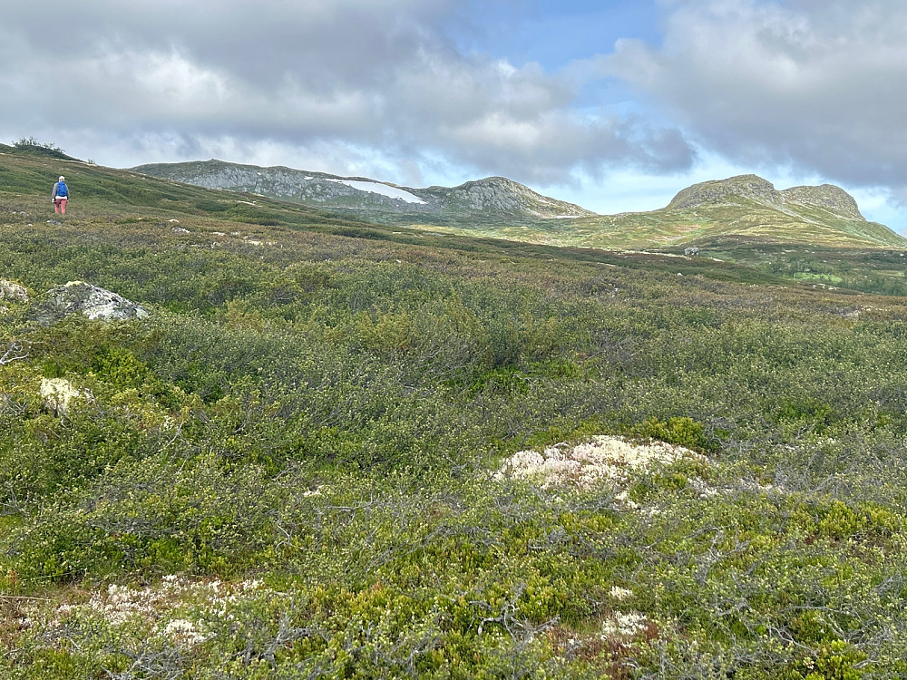Bjordalsnutan midt i bildet, mens Bjordalsnutan nordøst er til høyre.