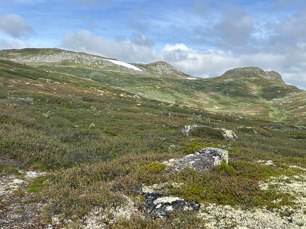 Herfra og til toppen av Bjordalsnutan gikk vi for det meste utenom stier.