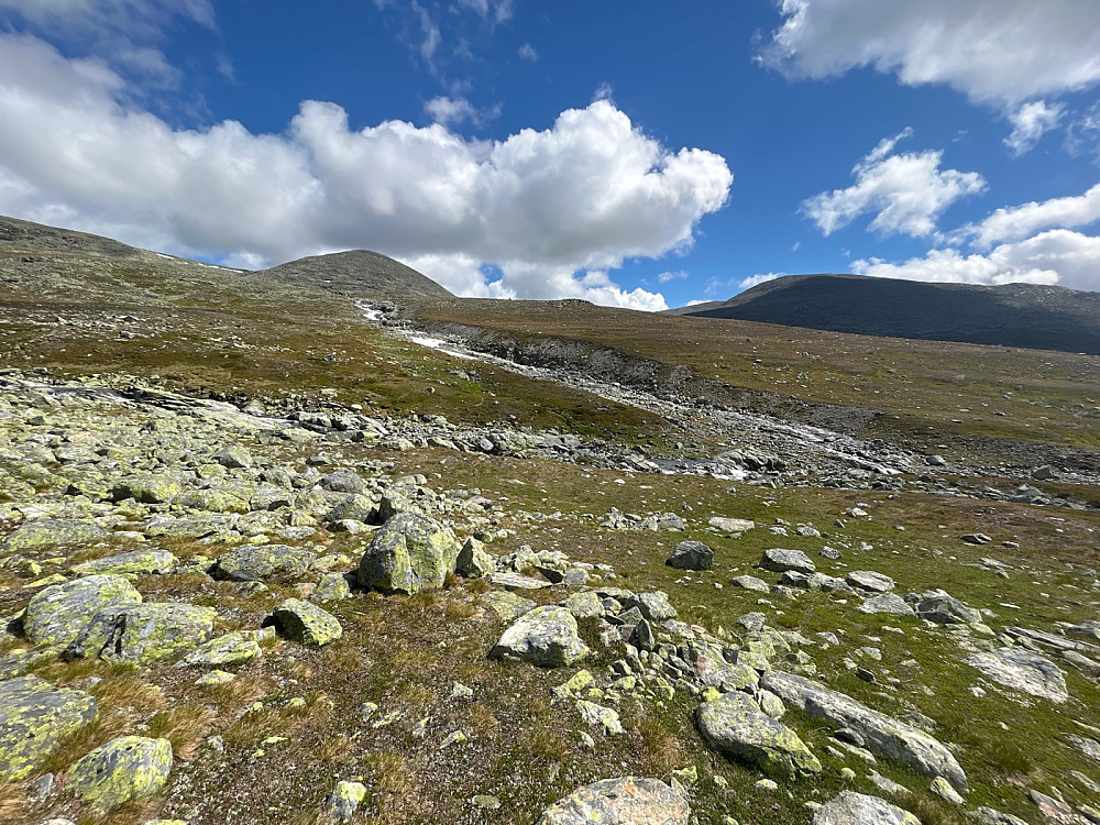 Utsikt oppover mot deler av Ranastongi til venstre og Steibunøse/Hydalsberget til høyre.