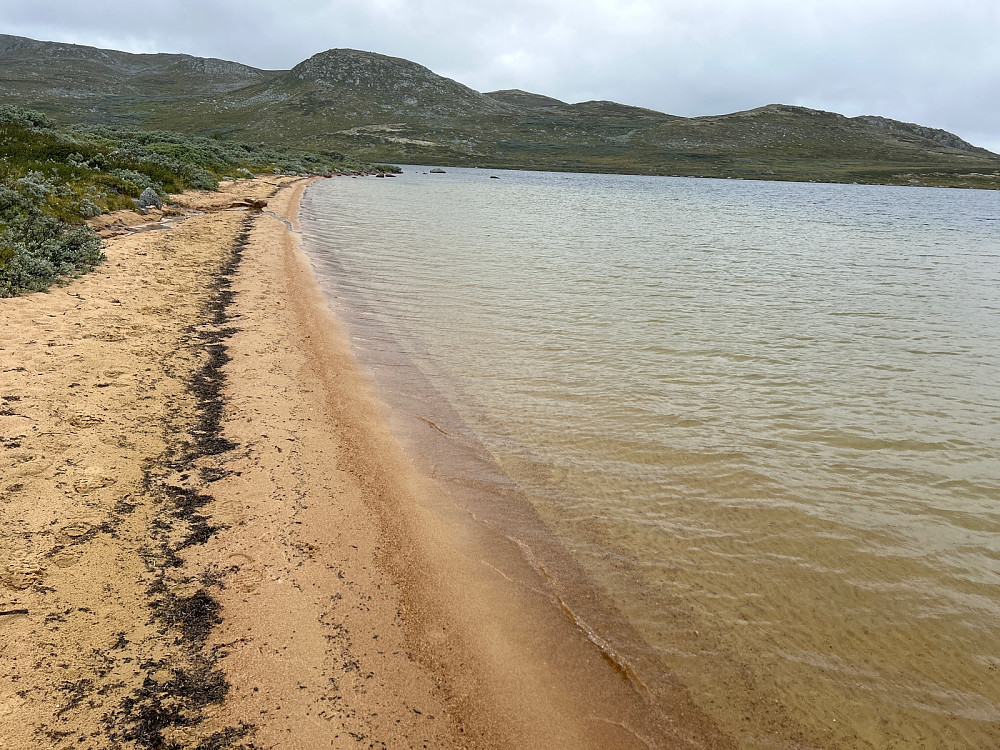 Sandstrand på østsiden av Gjuvsjåen.