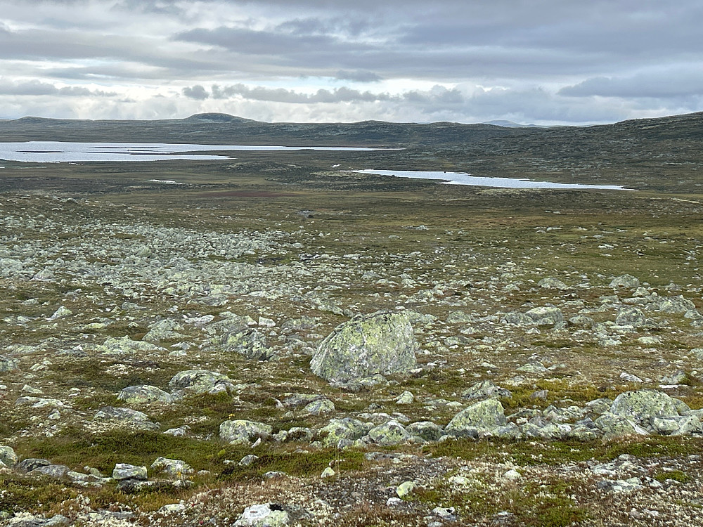 Utsikt til Nottaren litt til venstre i bildet fra Lågaros turisthytte. Det egentlige Lågaros er utløpet av Bjornesfjorden; det store vannet bakerst i bildet.