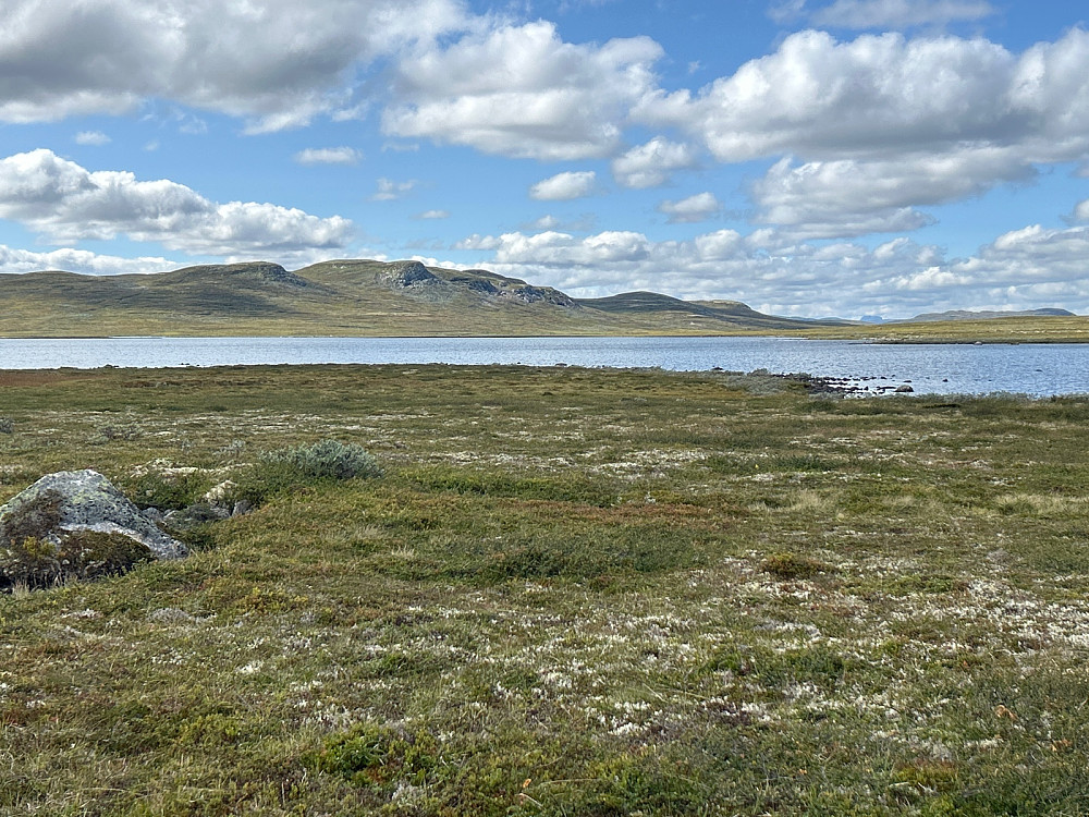 Hardangervidda er stor. Her ser jeg helt til Hårteigen.