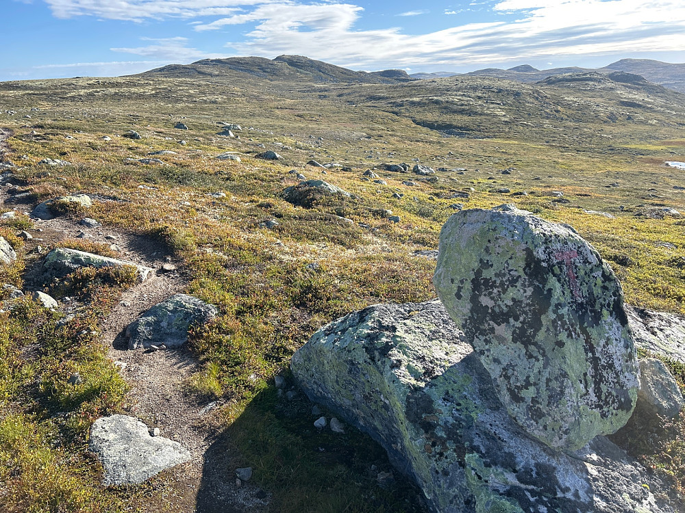 Pent vær første del av turen. Her med Vegarhovda litt til venstre i bildet. Litt usikker, men jeg tror Vestre Hettehovet er en av de to toppene lengst til høyre i bildet.