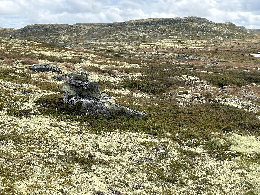 Varde for slepa som har gått her antar jeg. Men jeg ser hverken sti eller slepe. Antar at denne varden kan ha stått her i over 100 år.