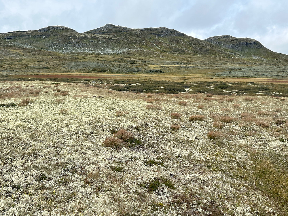 Fjellmassivet i bildet er Midtnuten.
