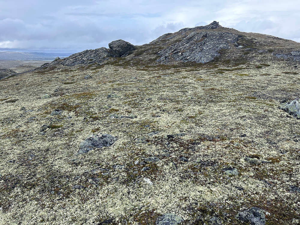 Midtnuten Nord, 1410 moh.