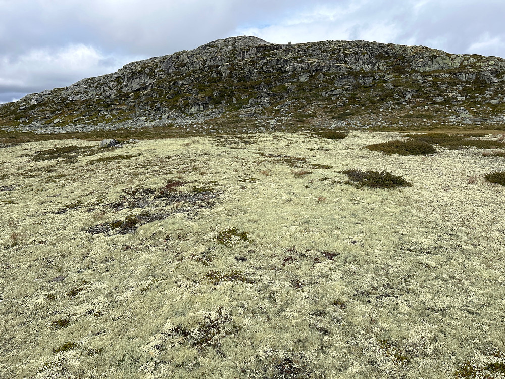 Trigpunktet på Reinavasshovda ligger oppe på fjellet foran meg.