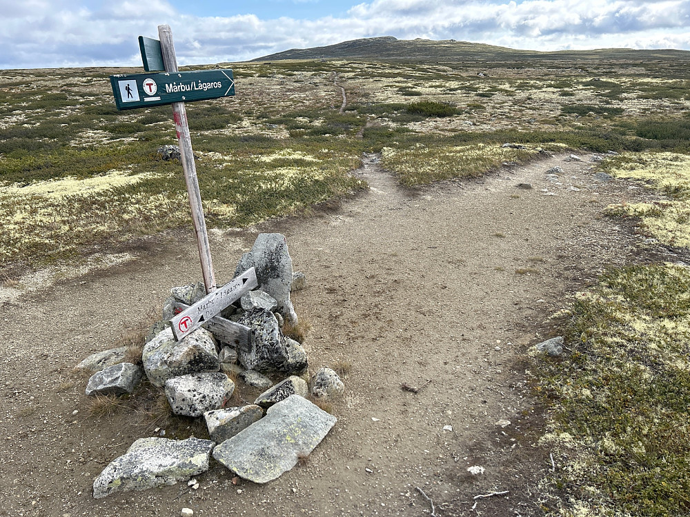 Her har jeg passert Lågen og velger stien mot Lågaros. Jeg tror stien til Mårbu er litt kortere.