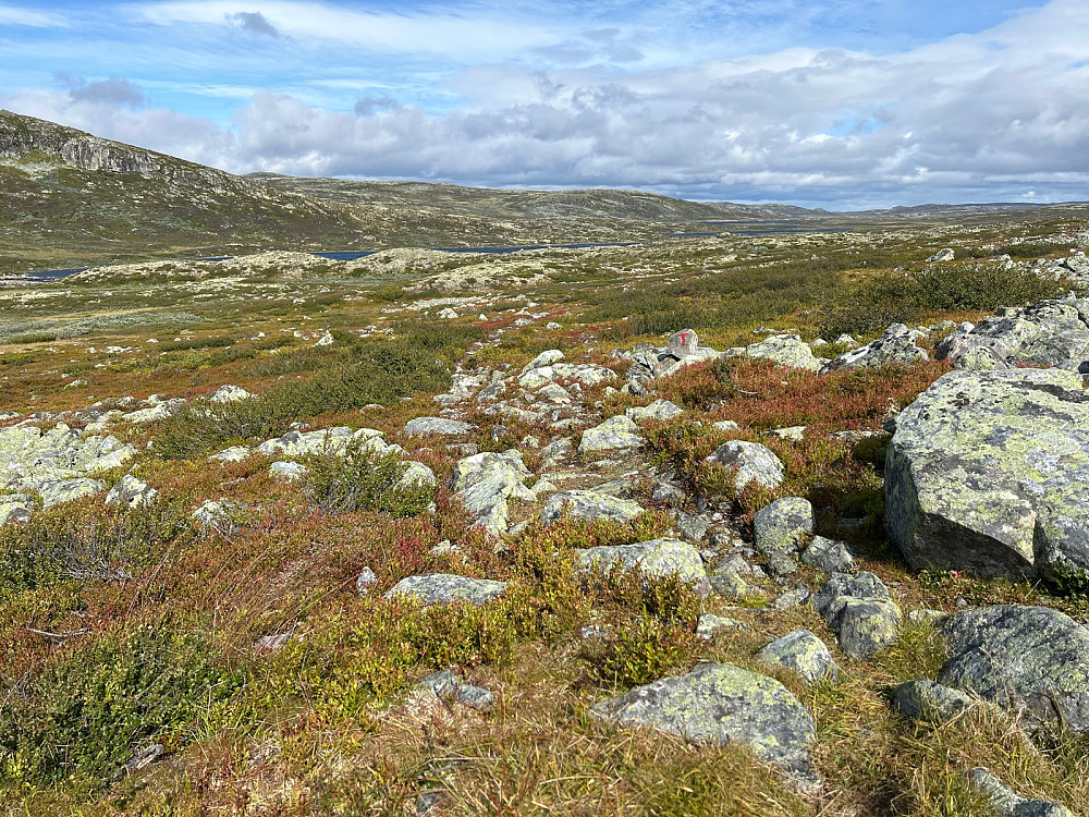 Stien jeg fulgte var stedvis veldig steinete.