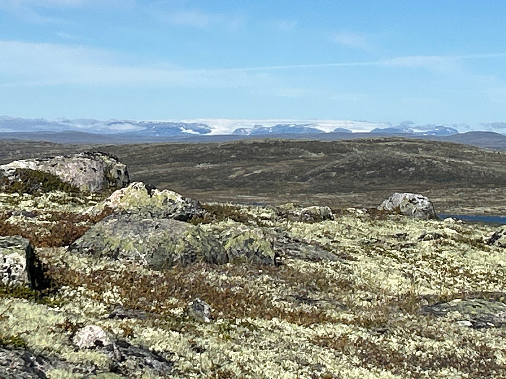 Alltid stas å se Hardangerjøkulen i pent vær.