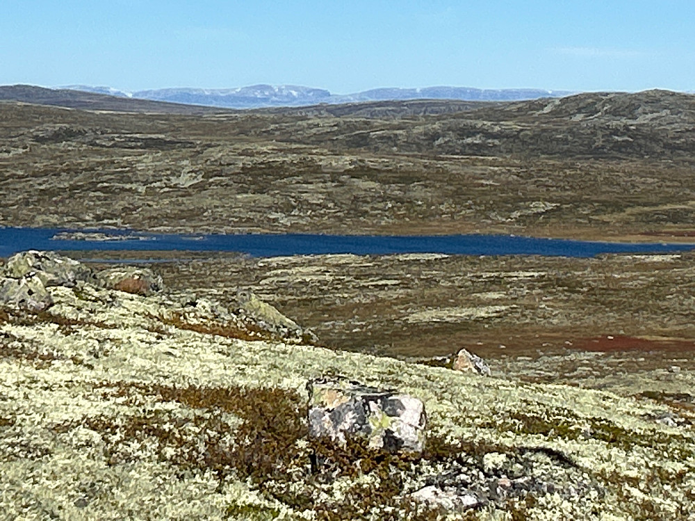 Mektige Hallingskarvet i bakgrunnen.