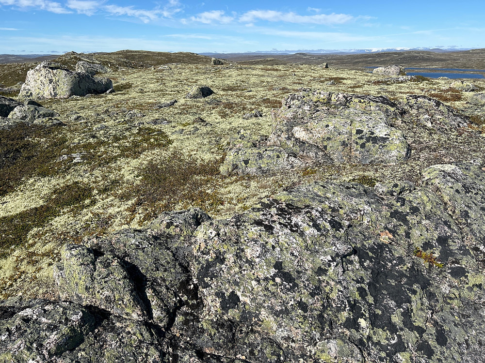 Vierhytthovdun Nordøst - 1340moh. Bildet er tatt vestover med Hardangerjøkulen langt i det fjerne.