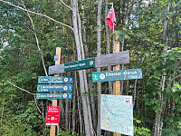 Erling_20240903_66d76bef9585f.jpeg