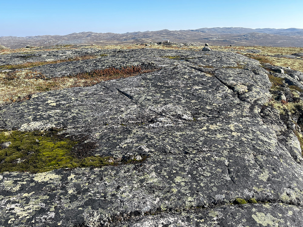Søltjønnhovda Vest (1354moh) var ikke mye til topp, flat som den er. Men det var jo fint her; fint å gå i slikt terreng også.