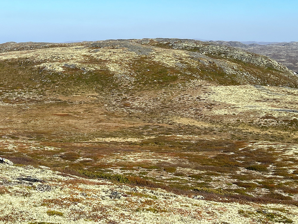 Søltjønnhovda (1357 moh) sett fra Søltjønnhovda Vest.