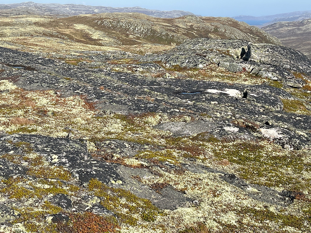 Litt usikker på dette bildet, men mener det viser toppunktet på Søltjønnhovda på 1357 moh.