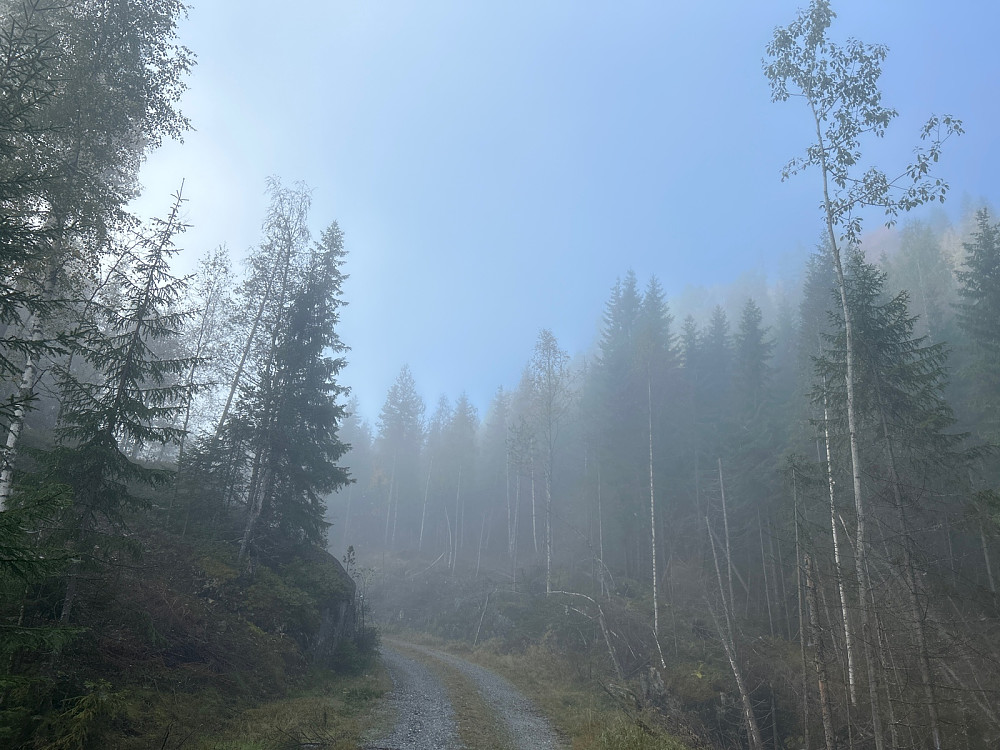 Grusveitrasking i starten av turen, og her øyner vi blå himmel over tåkehavet.