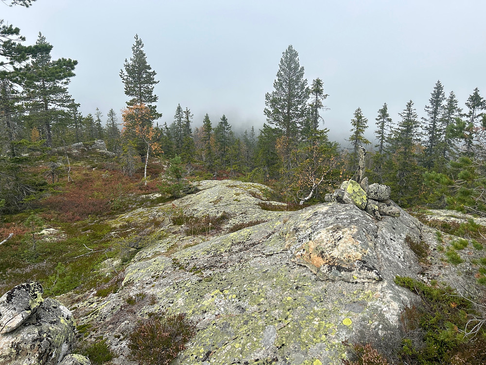 Haverstingen sørøst på 754 moh er dette bildet fra. Ikke så spennende her etter at tåka rullet inn.
