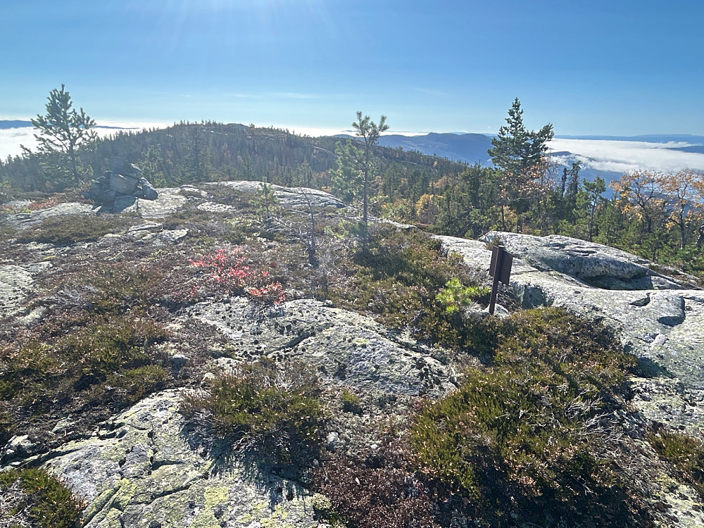 Jeg har ikke funnet ut hvor dette bildet er tatt, men det var der vi kom opp over skogen og fikk utsikt, og skiltet som ses på bildet er grense for naturreservat.