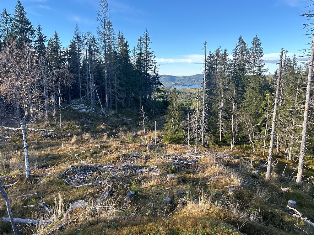 Utsikt fra Branntjernhøgda mot Gjerdingen.