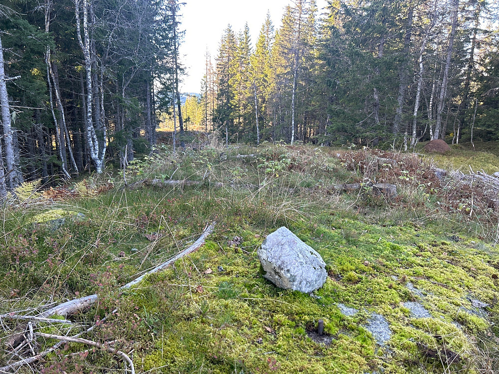 Branntjernhøgda trigpunkt.