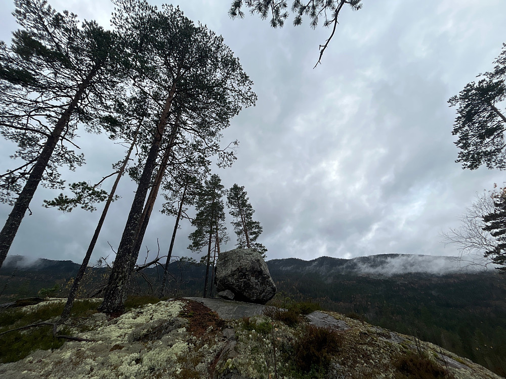 På toppen av Engjaåsen var det god utsikt og en stor stein.