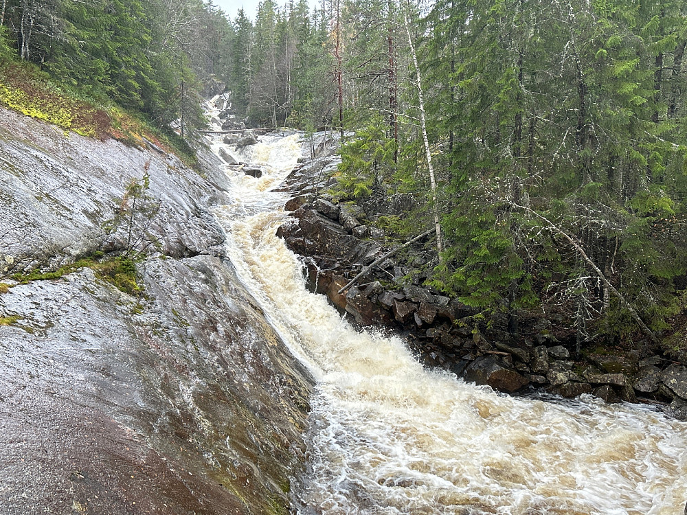 Storåe var stor i dag etter en del regnvær i det siste. Jeg tror noe av vannet kommer fra høyt oppe på Blefjell.