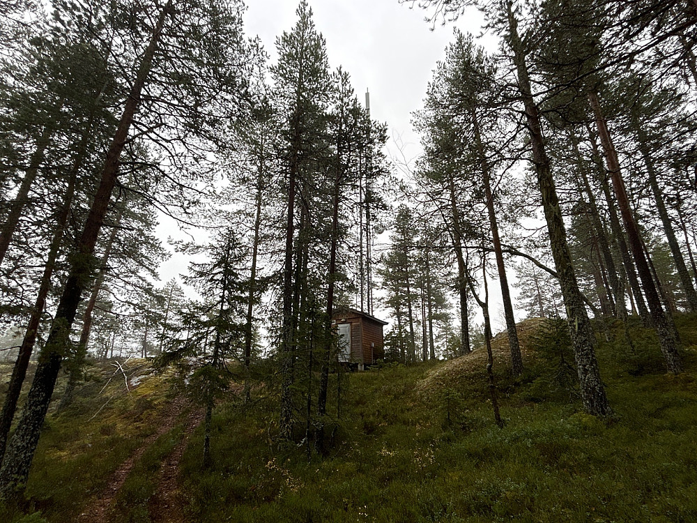 Toppområdet med masten på Smiukollen.