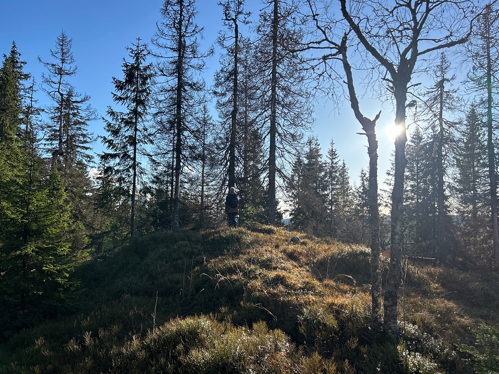 Vegard på toppen av Stutehaugen.
