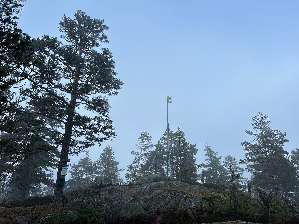 Toppen av Røysa med noe som ser ut som blå himmel over. Men det er egentlig et tynt tåkelag.
