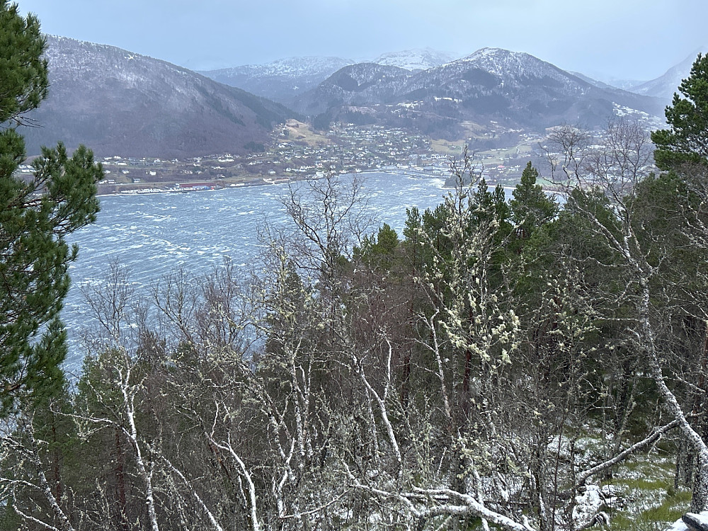 Sjøholt.