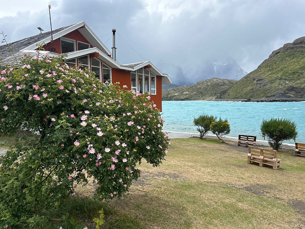 Kort besøk på Hosteria Pehoe for en kaffe, og inspisering av dette hotellet som vi hadde bestilt for tre netter fra dagen etter.