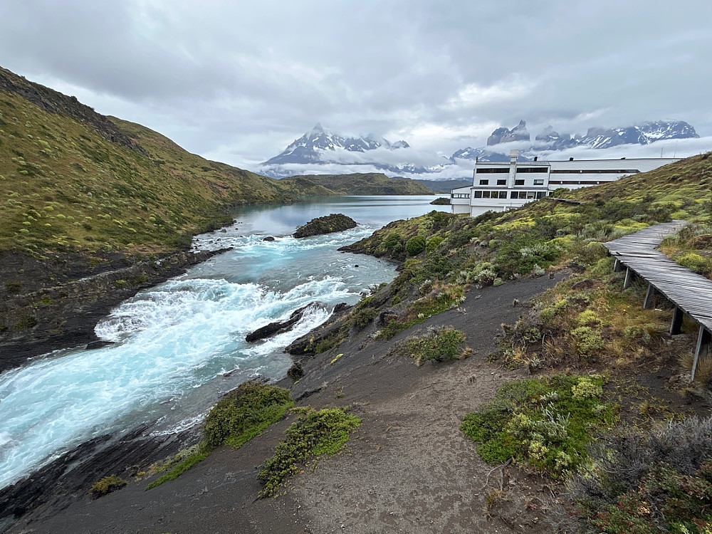 De flotte hornene ses over hotel Explora ved Salto Chico. 