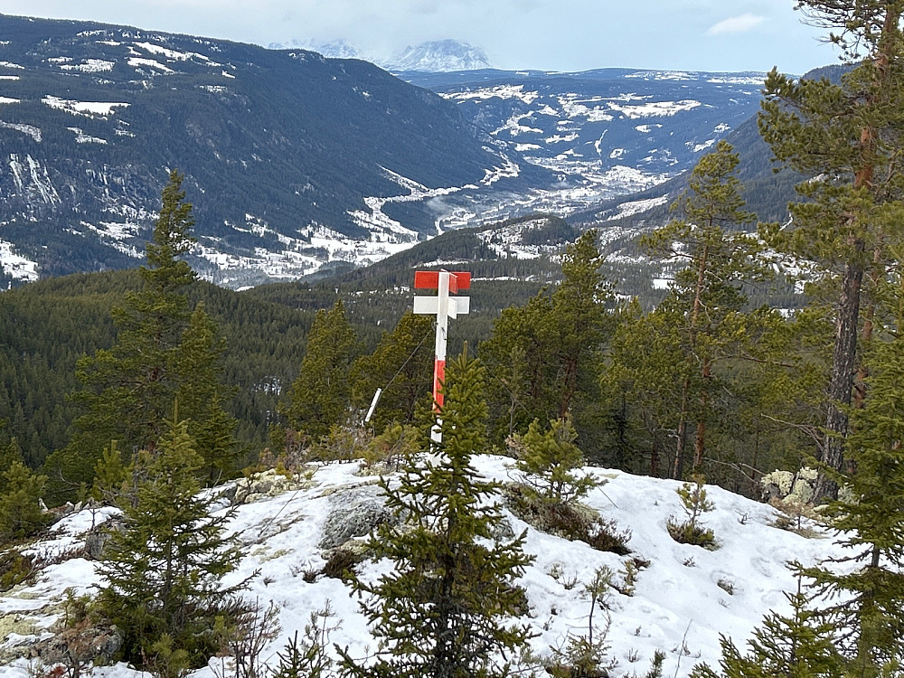 Utsikt fra Rudsåsen Nordvest nordover mot Gol med Skogshorn i bakgrunnen.