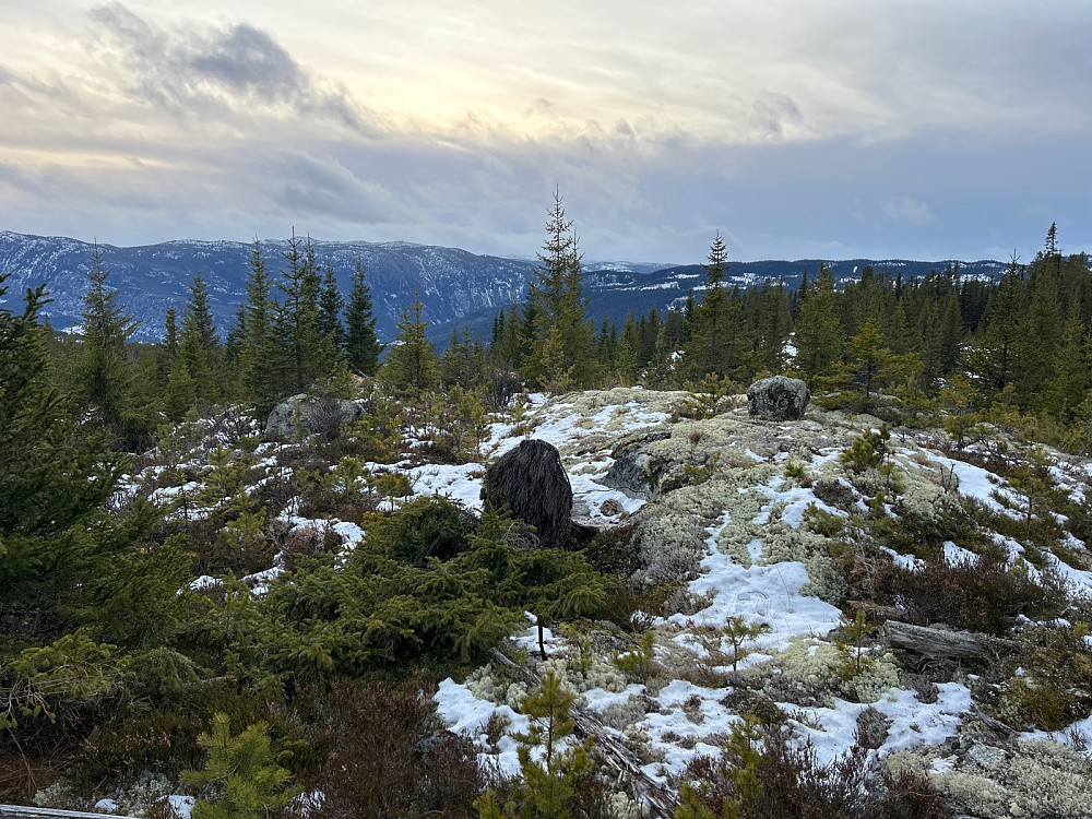 Åpent terreng ute på "Rudsåsen Vest" på 784 moh, men akkurat hvor selve toppunktet er husker jeg ikke.
