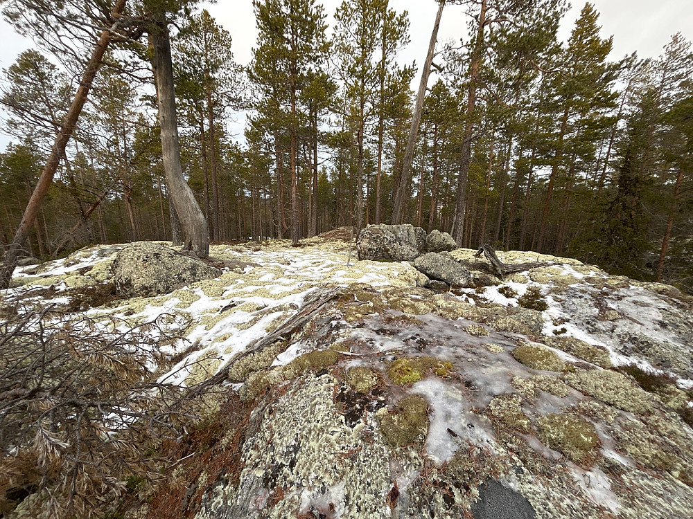 Dette er toppen av "Rudsåsen Nordøst 2" på 745 moh.