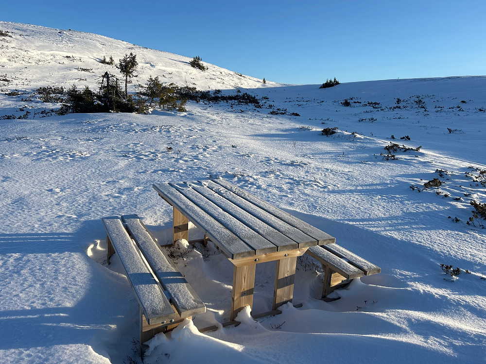 Skisporene gikk opp til denne benken, men jeg satt meg ikke ned her. Fulgte heller ryggen oppover til venstre i bildet.