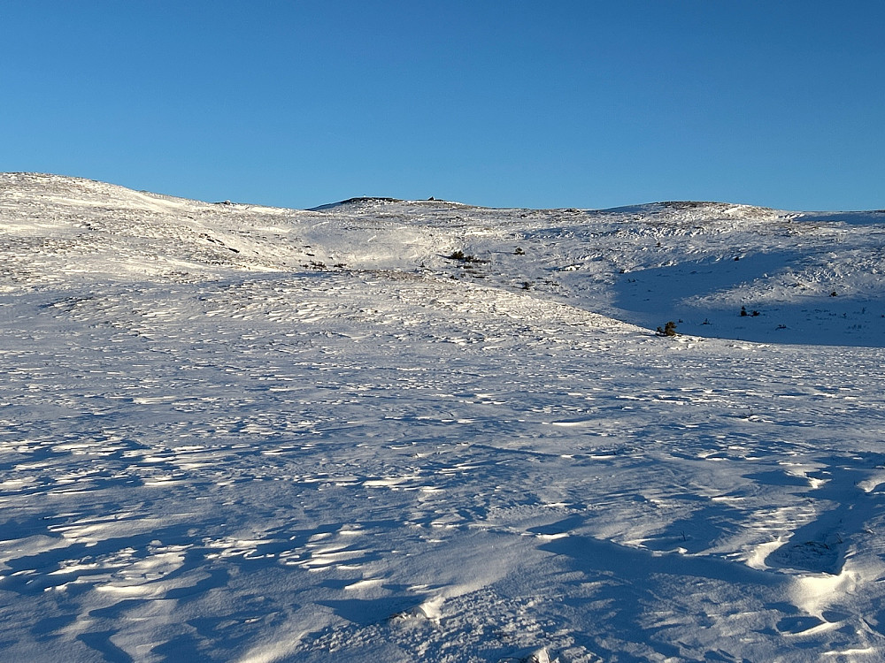 Ikke langt opp til toppen av Raudalsfjellet nå.